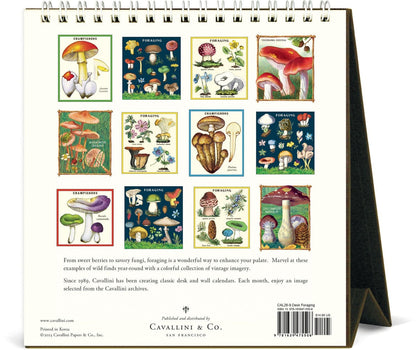 Back view of the Foraging Desk Calendar 2026 featuring vintage foraging illustrations from Cavallini archives, 12 months of botanical art, 15.2x16.5 cm, nature-inspired desk décor