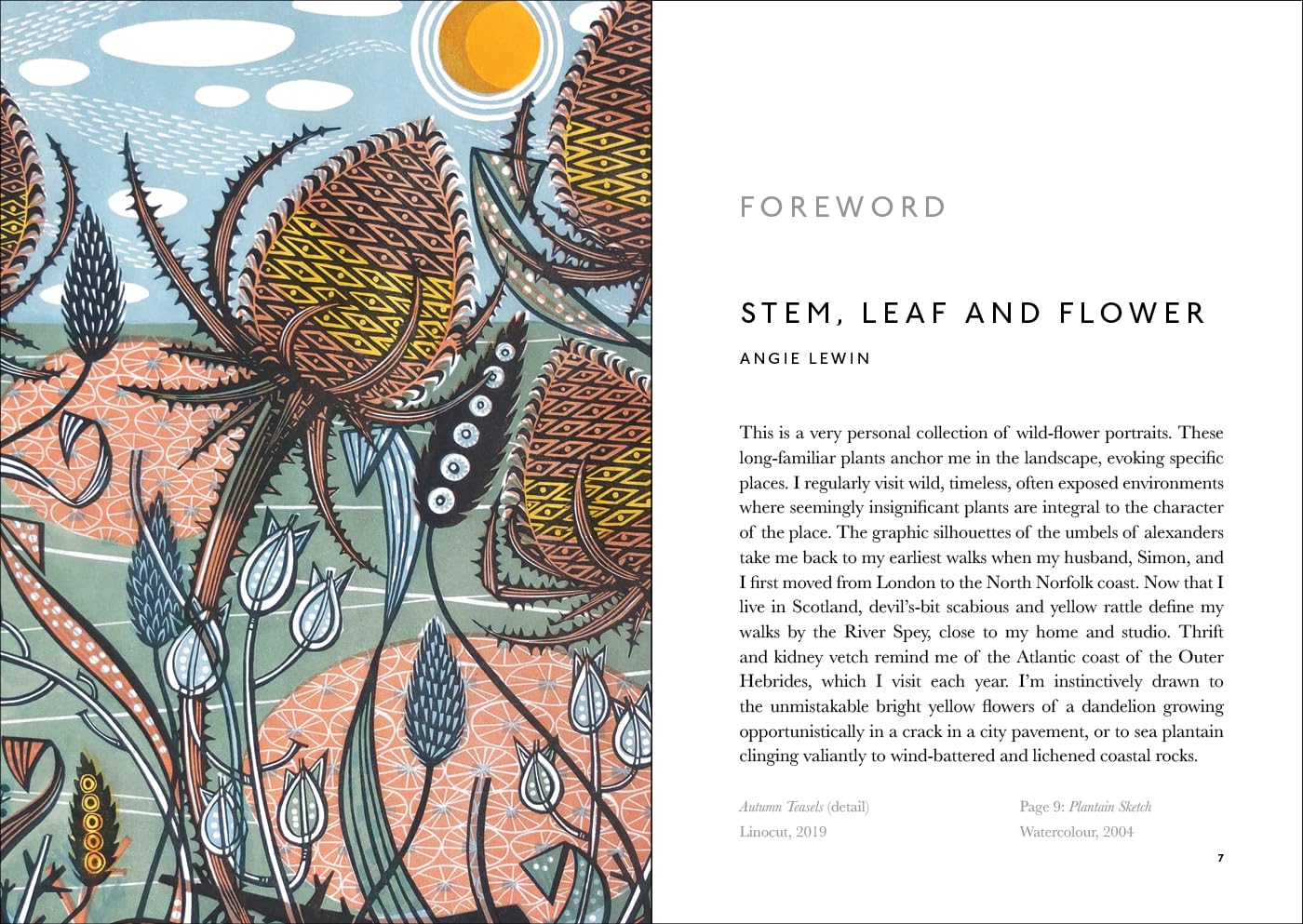 The Book of Wild Flowers: Reflections on Favourite Plants