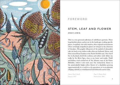 The Book of Wild Flowers: Reflections on Favourite Plants