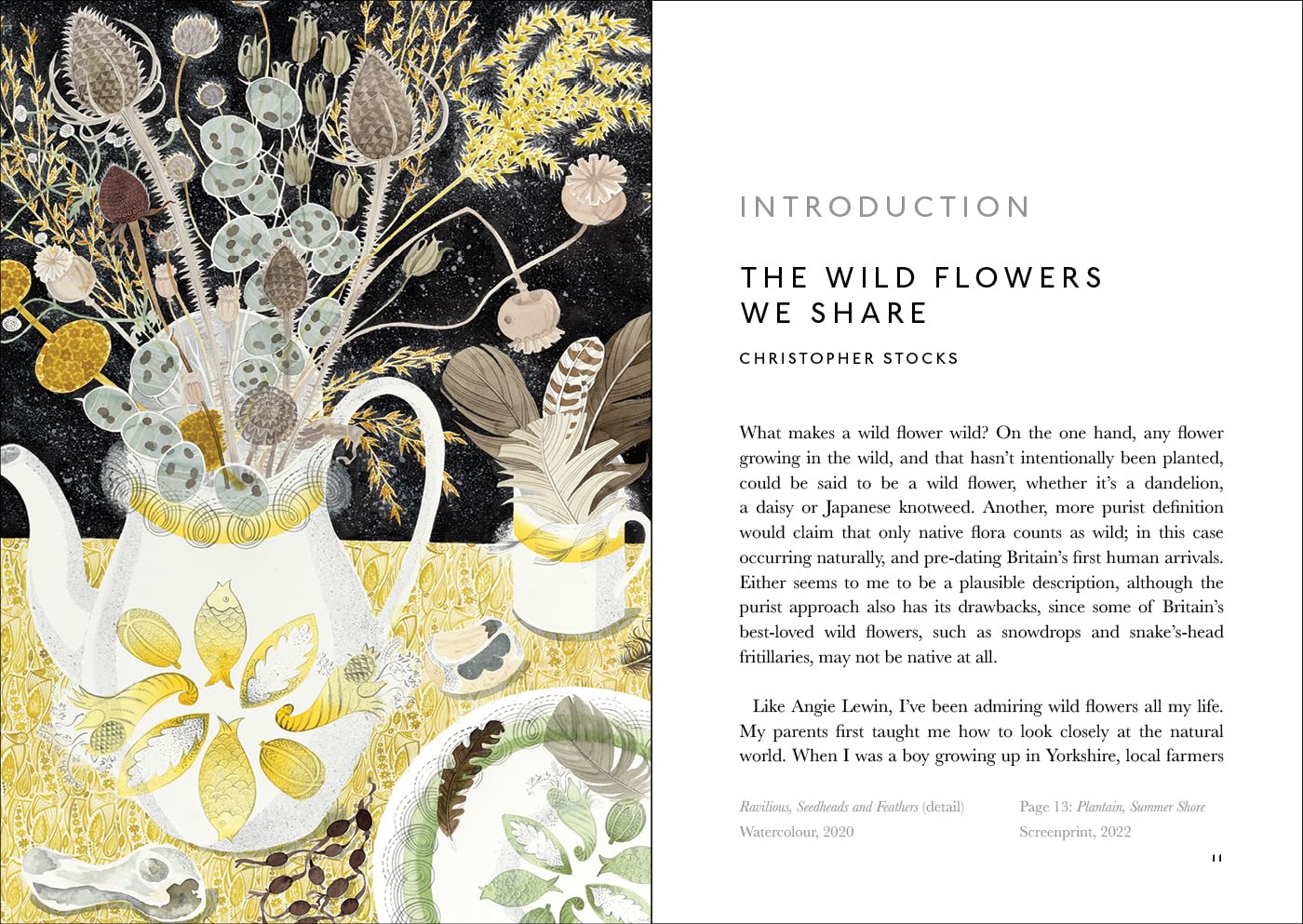The Book of Wild Flowers: Reflections on Favourite Plants
