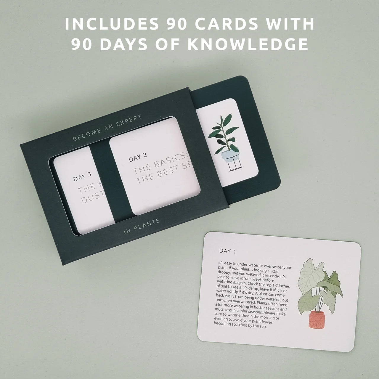 Became An Expert In Plants in 90 Days 