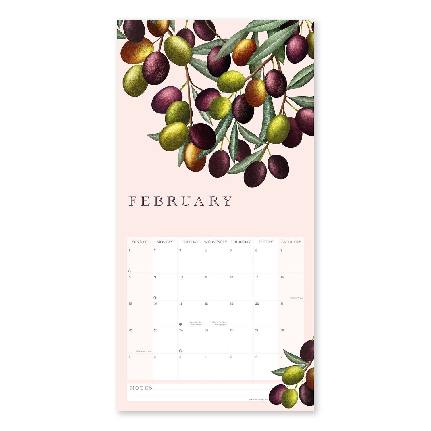 Homegrown Calendar 2026 page for February with olive branches on a pink background