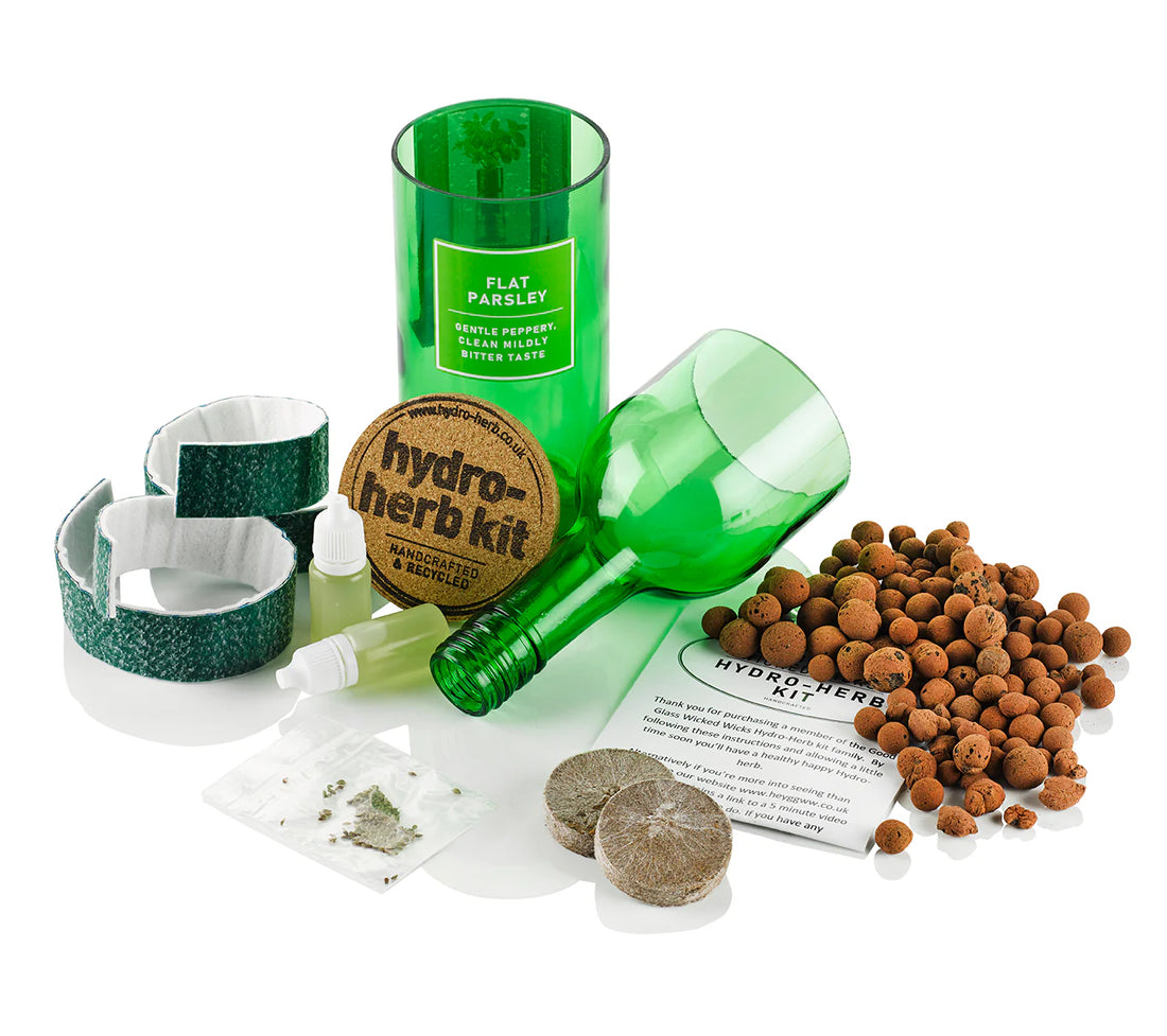 Flat Parsley Hydro Herb Kit