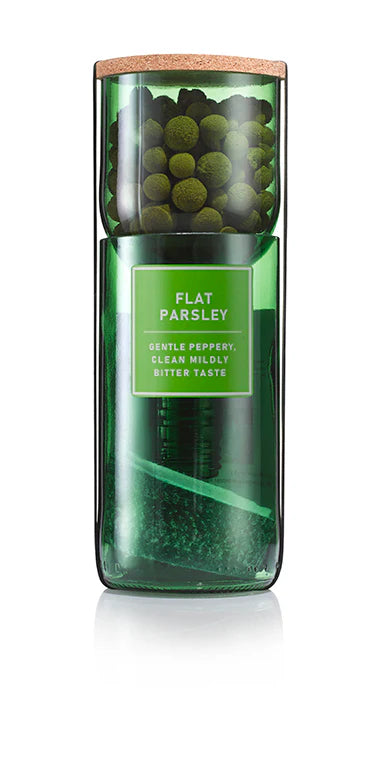 Flat Parsley Hydro Herb Kit