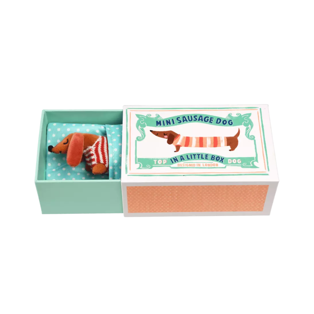 Mini Sausage Dog In A Box
