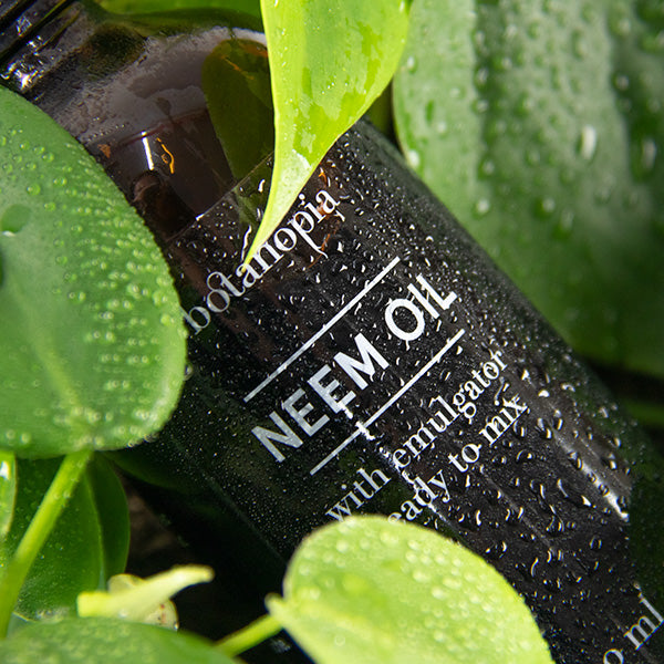 Neem Oil 