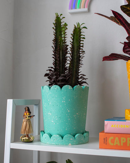 Palm Springs Planter - Turquoise