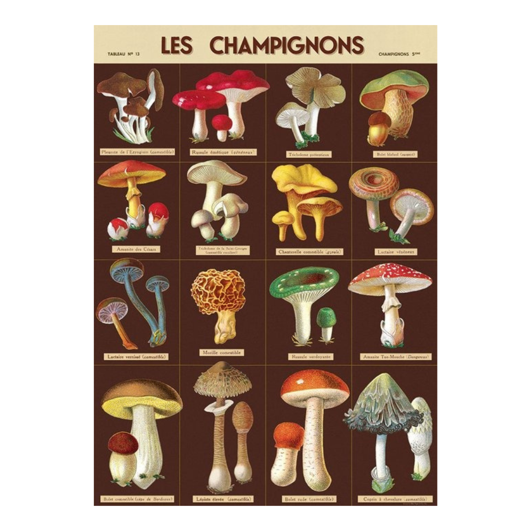 Les Champignons Poster