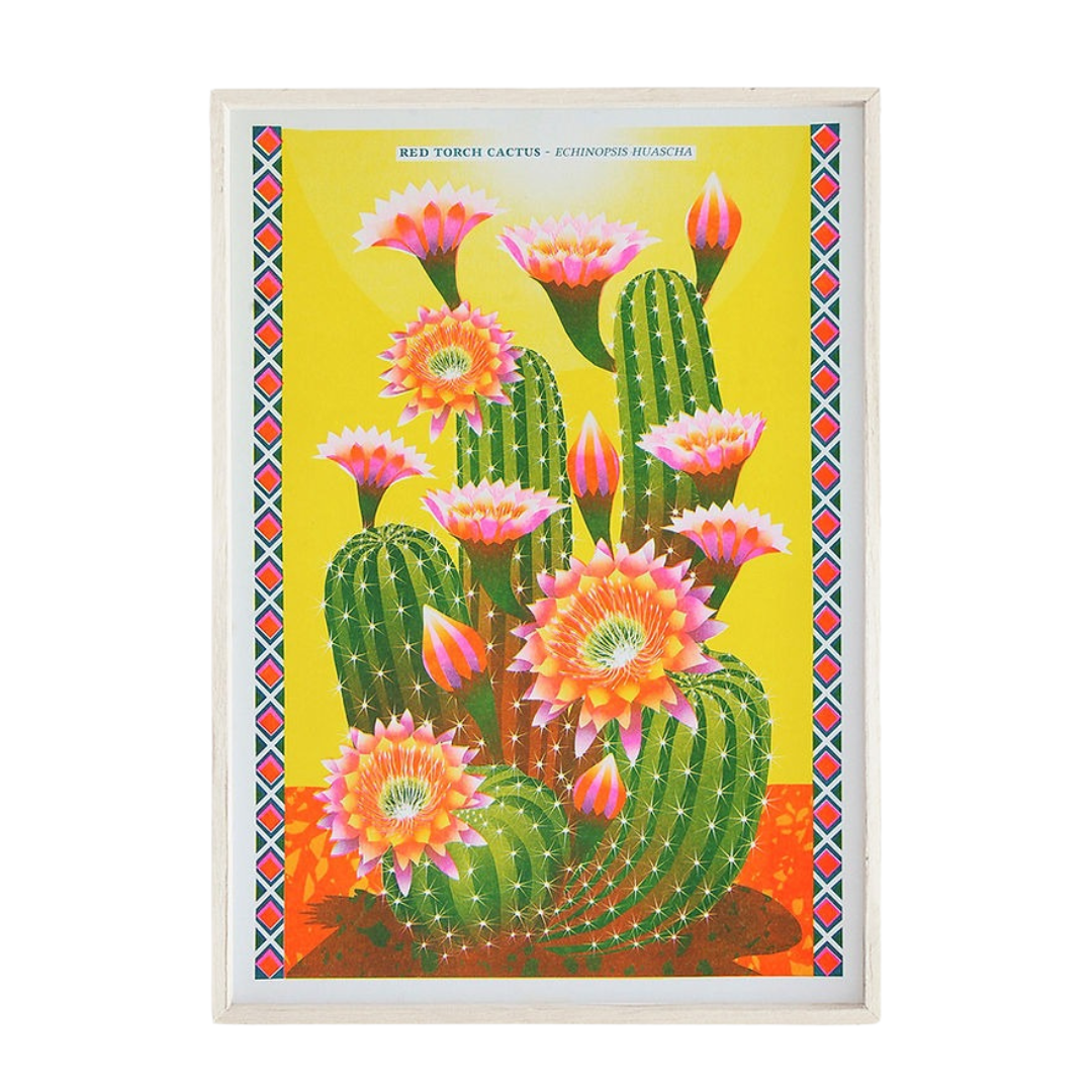 Cactus Risograph A3 Unframed Print