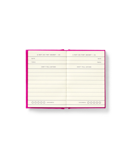 Pocket-sized notebook open with lined pages for writing secrets