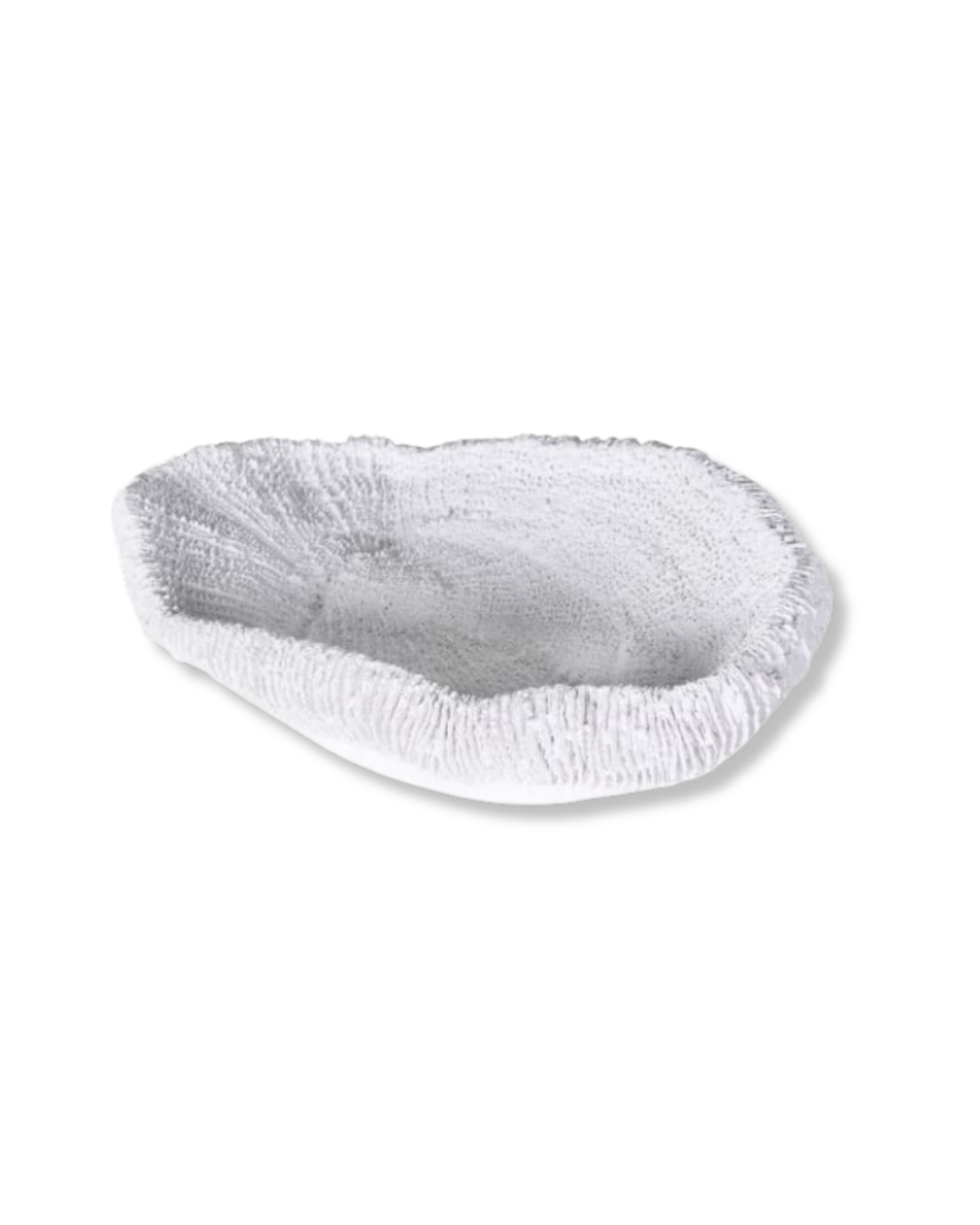 Luminara Coastal Coral Bowl in white, top view showcasing reef-inspired coral texture and elegant sculptural design.
