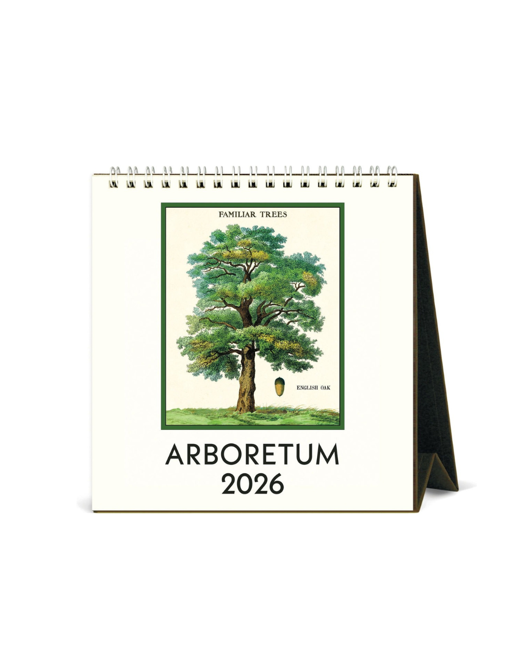 Arboretum Desk Calendar 2026 featuring vintage tree illustrations from Cavallini archives, 12 months of botanical art, 15.2x16.5 cm, nature-inspired desk décor