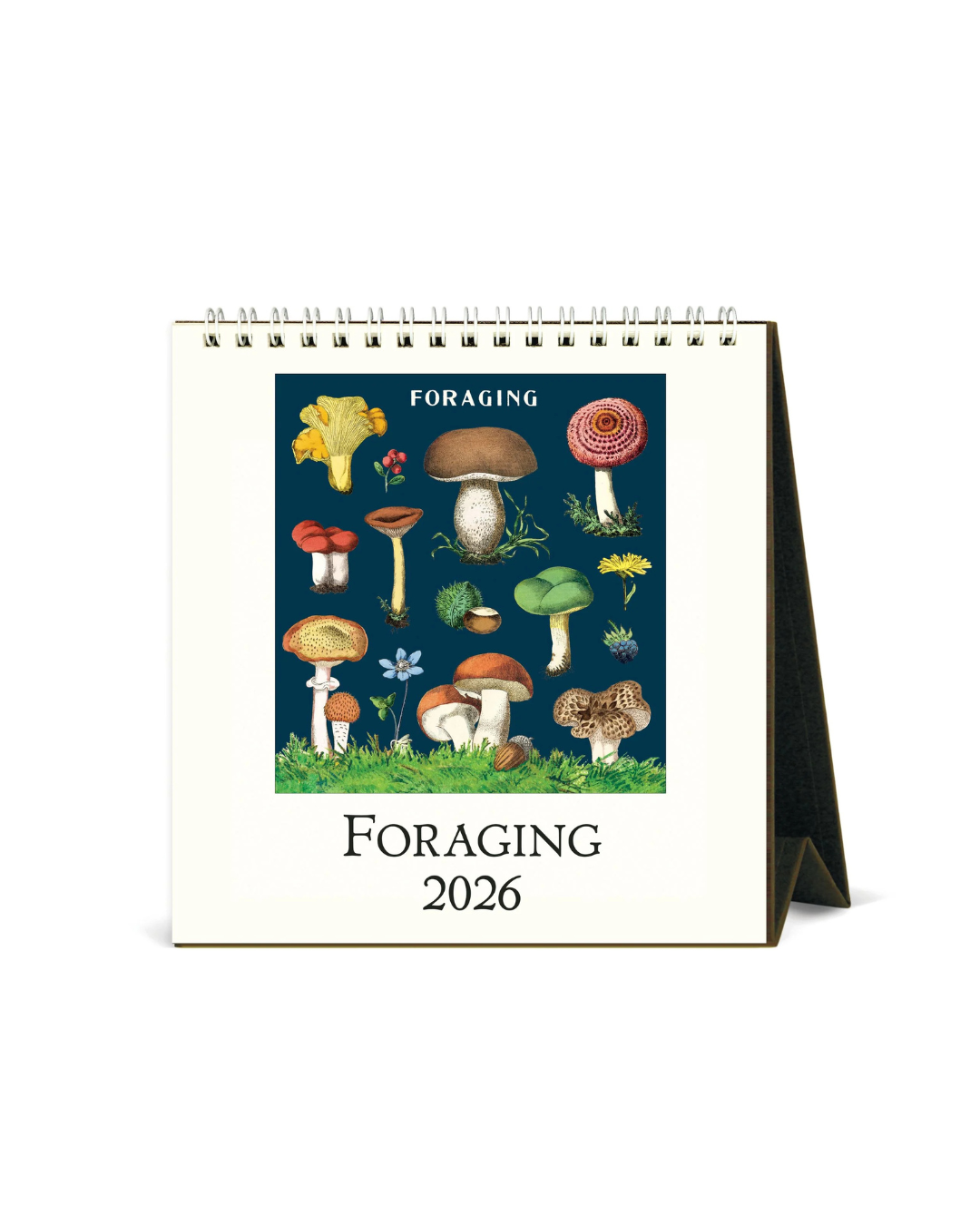 Foraging Desk Calendar 2026 featuring vintage foraging illustrations from Cavallini archives, 12 months of botanical art, 15.2x16.5 cm, nature-inspired desk décor