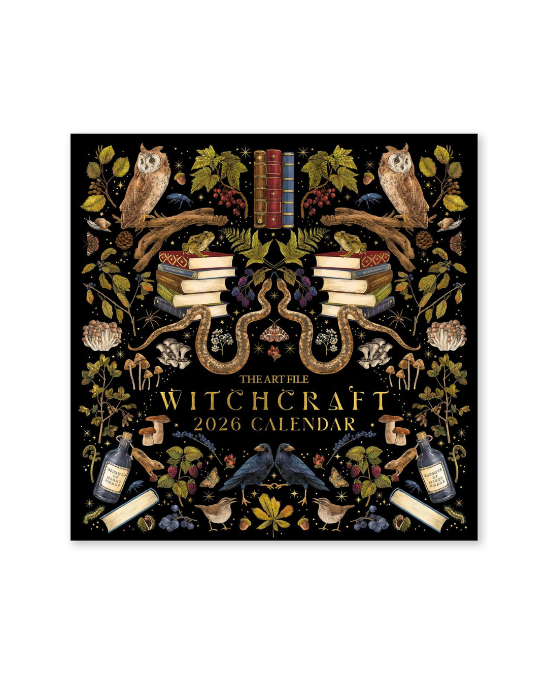 Witchcraft 2026 Wall Calendar featuring 12 months of mystical and intricately detailed illustrations, perfect for home, office, and magical décor gifts.