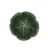 A green stoneware bowl designed to resemble a cabbage leaf.