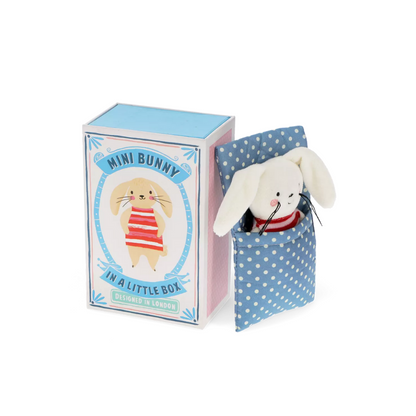 Mini Bunny In A LIttle Box