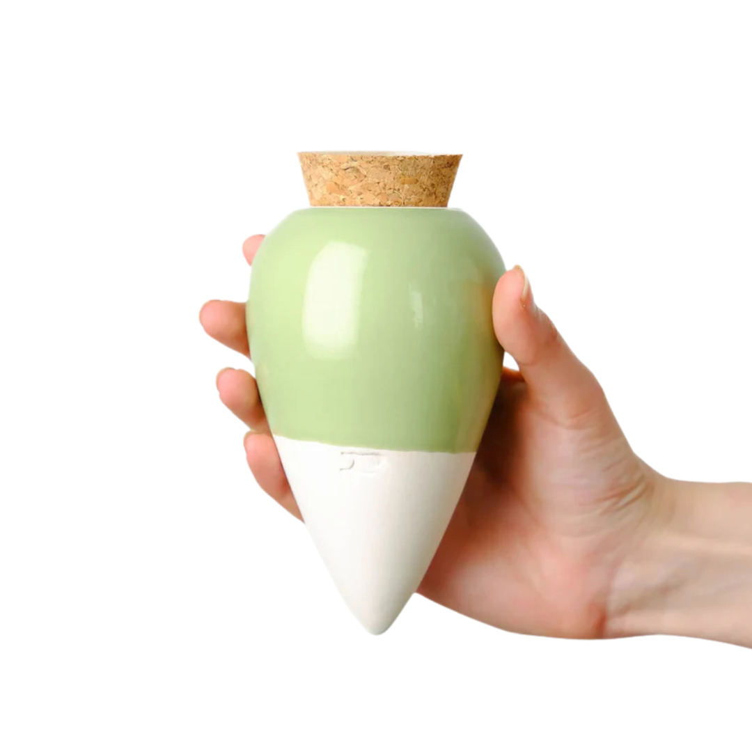 Olla Ceramic Plant Watering Vessel