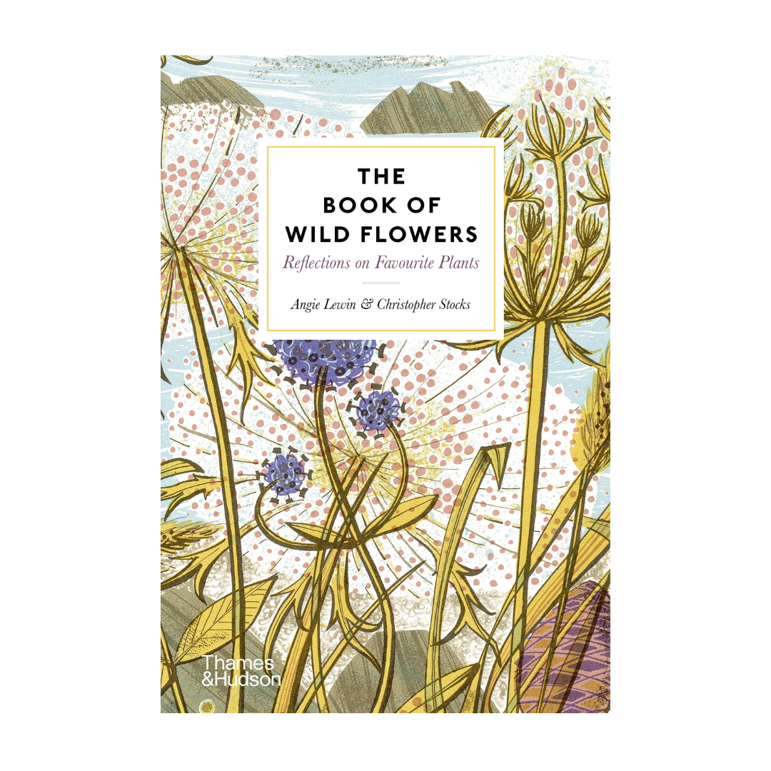 The Book of Wild Flowers: Reflections on Favourite Plants