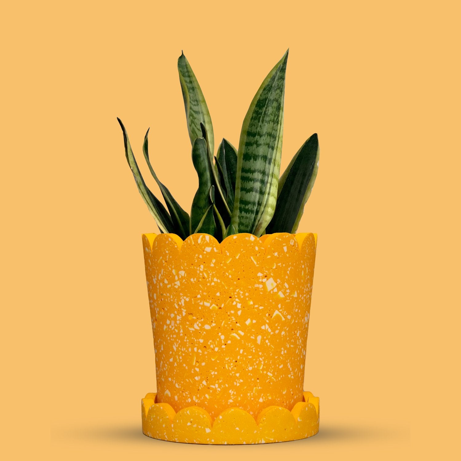 Palm Springs Planter - Yellow