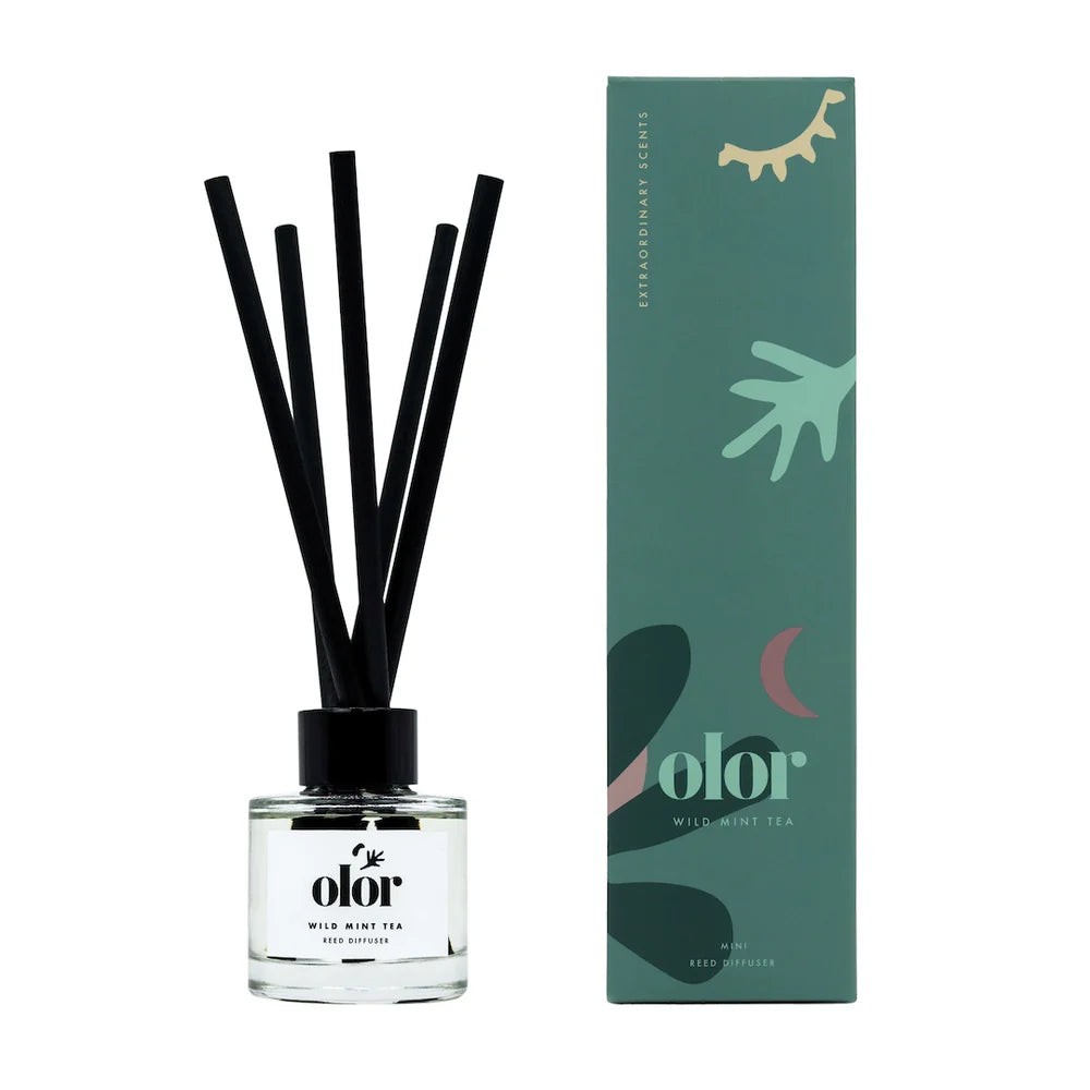 Wild Mint Tea Mini Diffuser 120 ml