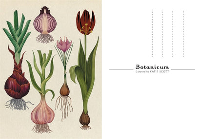 Botanicum Postcards