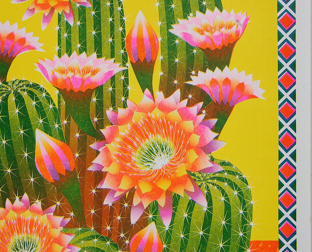 Cactus Risograph A3 Unframed Print