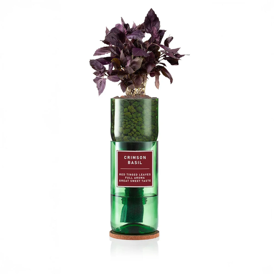Crimson Basil Hydro Herb Kit