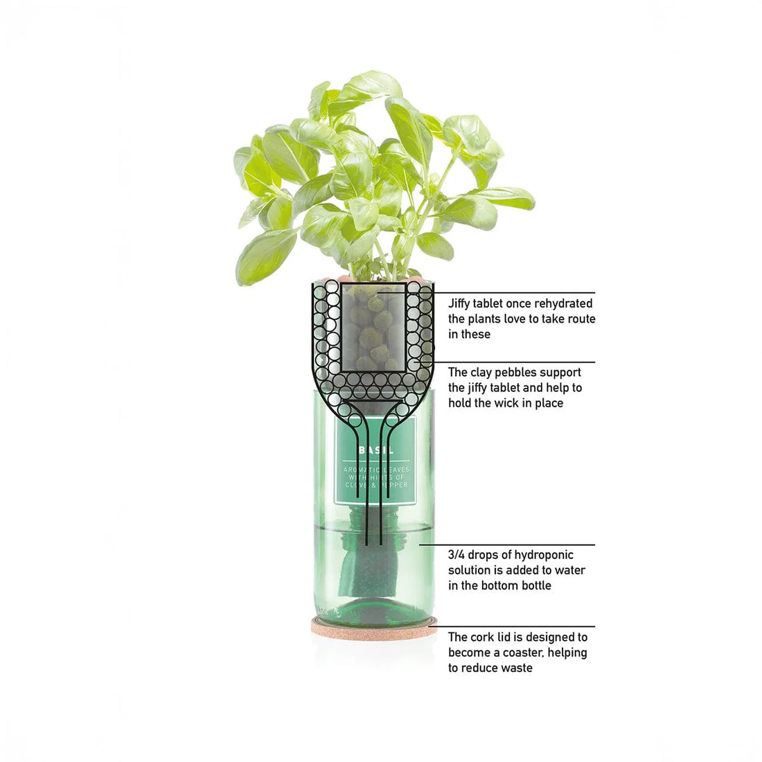 Crimson Basil Hydro Herb Kit