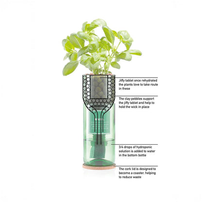 Crimson Basil Hydro Herb Kit
