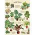 House plants poster