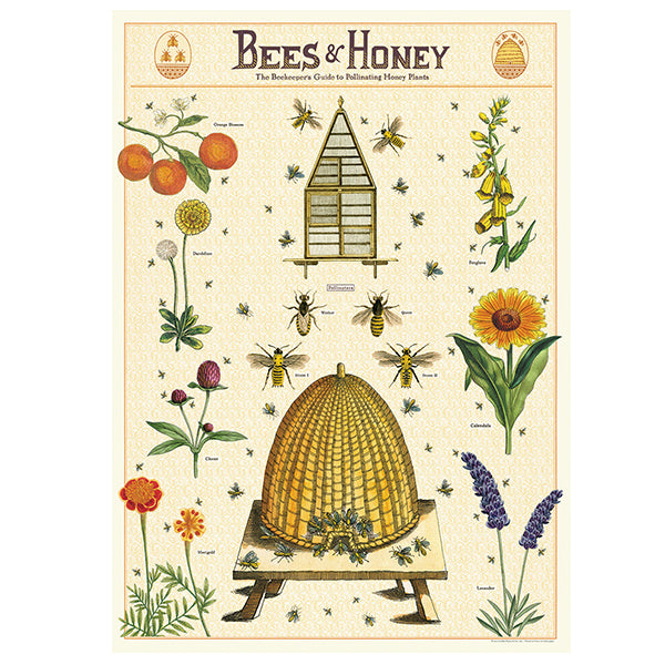 Bees &amp; Honey Poster