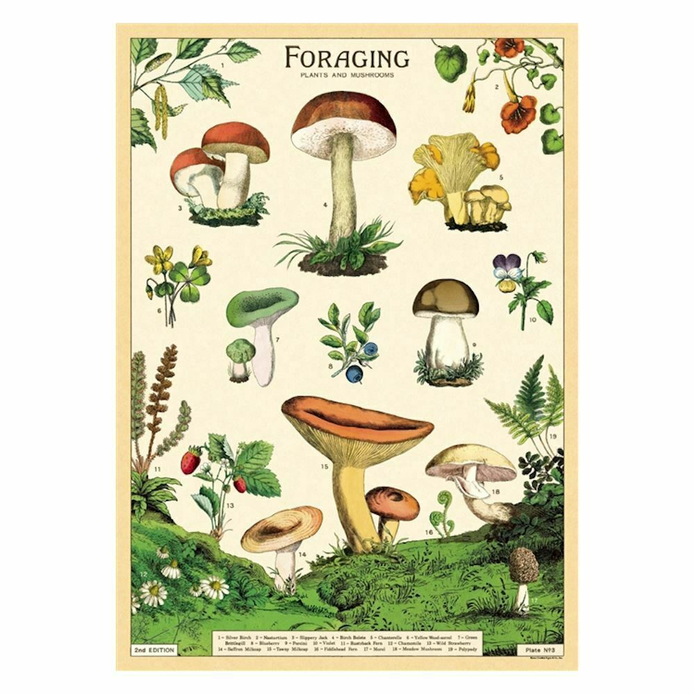 Forage Foraging Poster