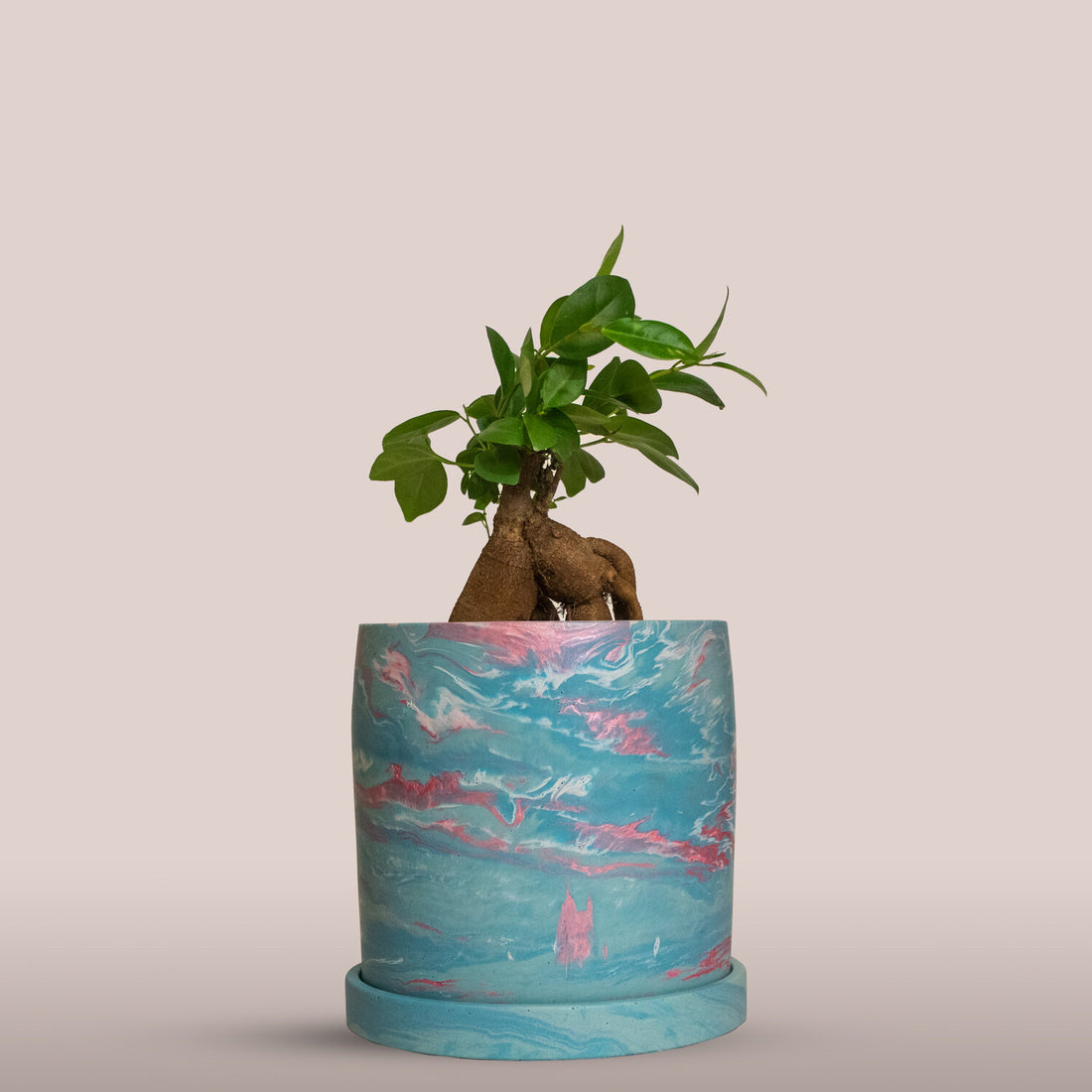 Handmade Kyoto Plant Pot with Saucer