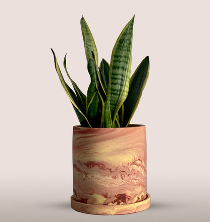 Handmade mojave Plant Pot with Saucer