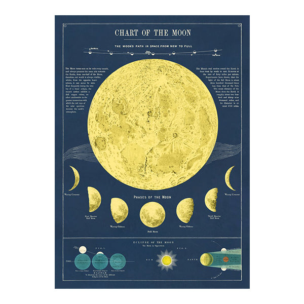 chart of the moon poster