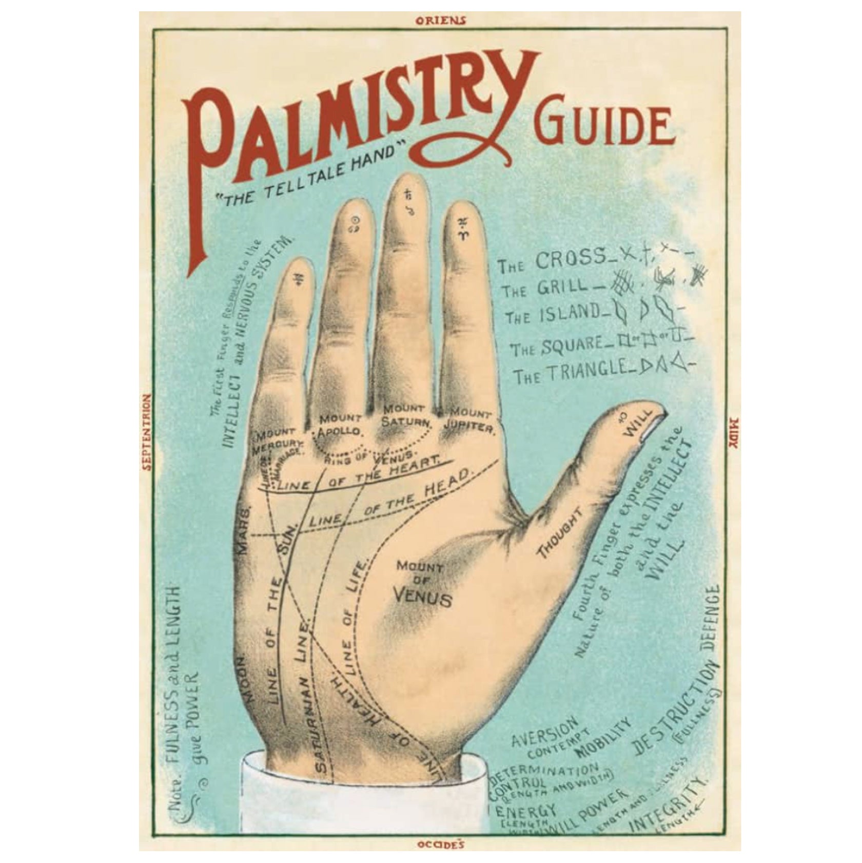 Palmistry Guide Poster