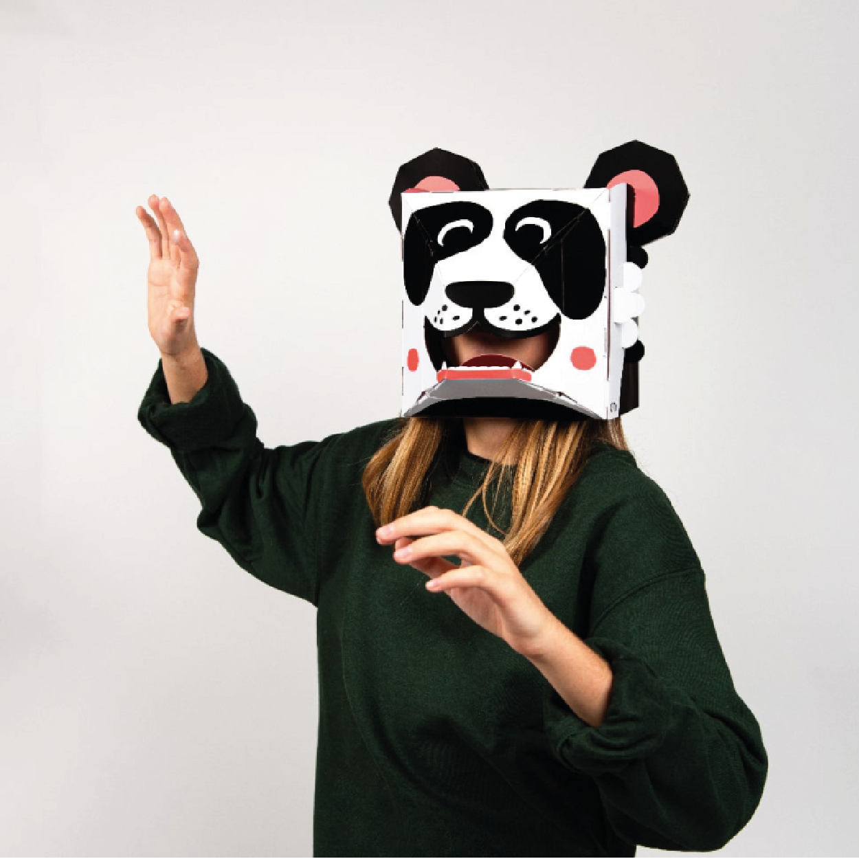 Panda 3D Cardboard Mask