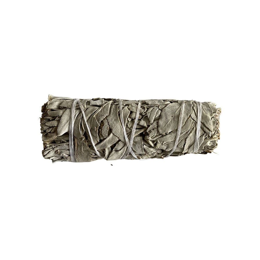 sage smudge stick