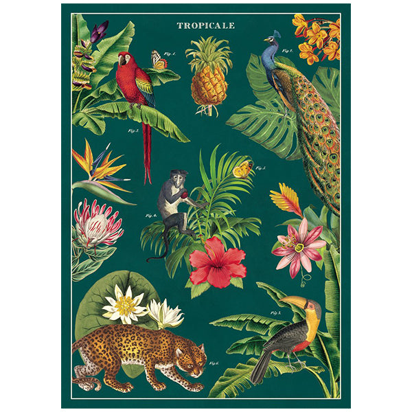 Tropicale Poster
